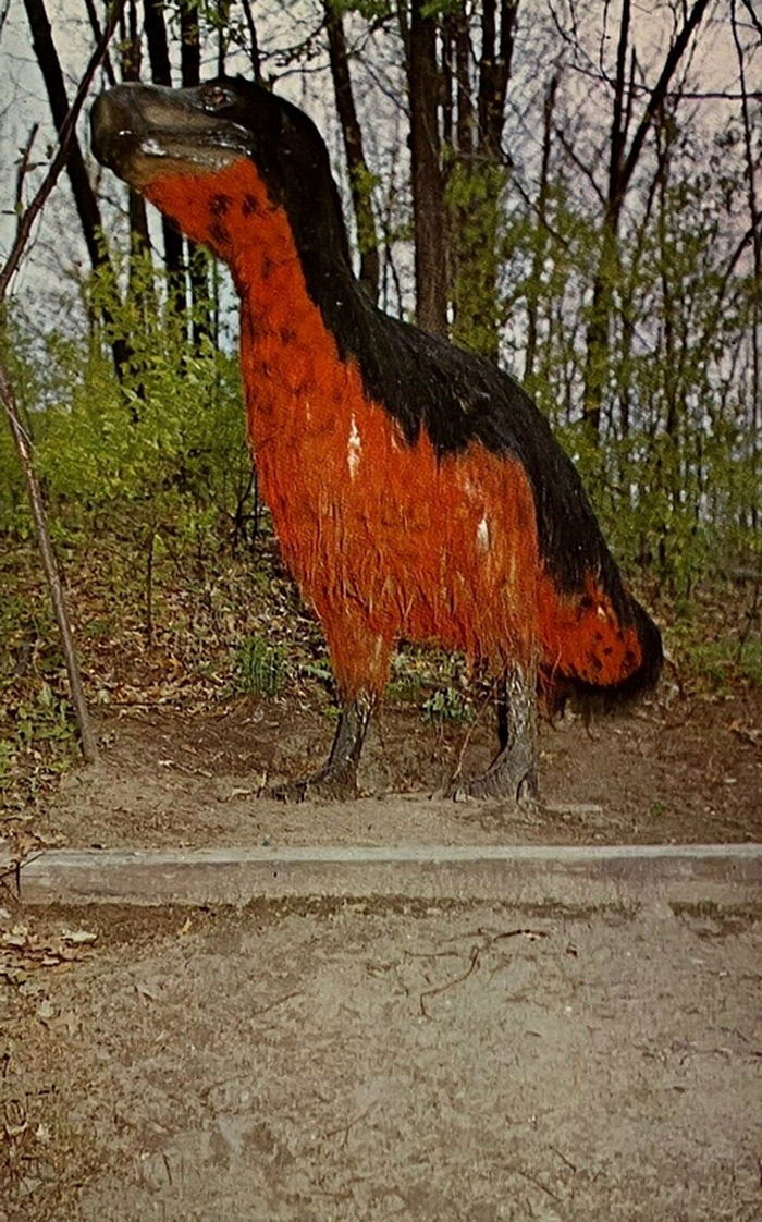 Prehistoric Forest - Vintage Postcard (newer photo)